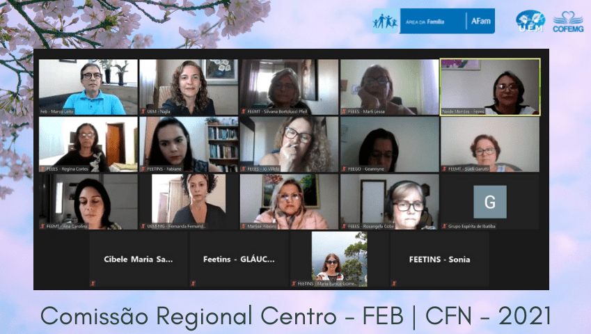 Comissão Regional Centro - FEB - CFN10