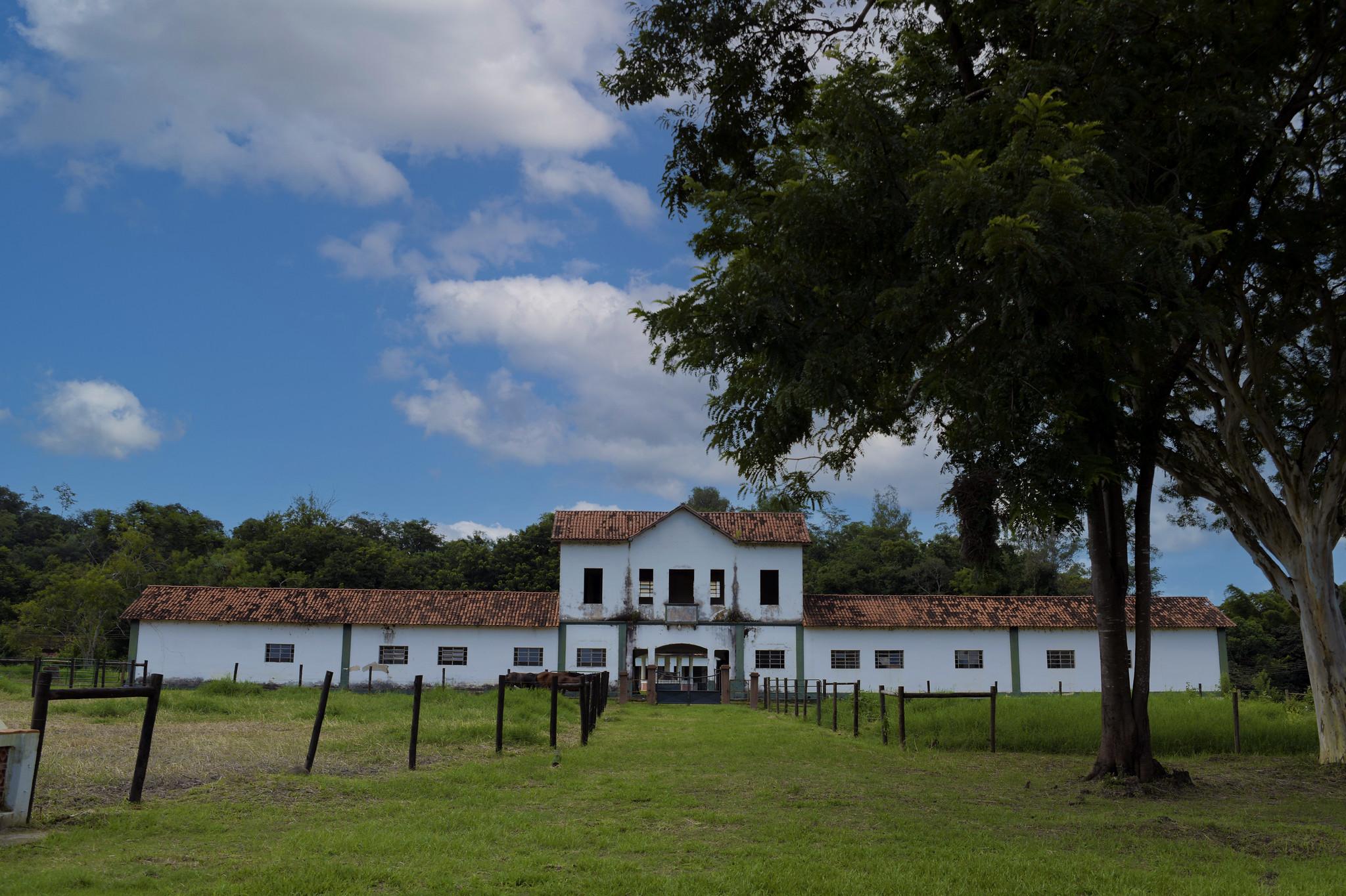 55127725452_5beafd1177_k